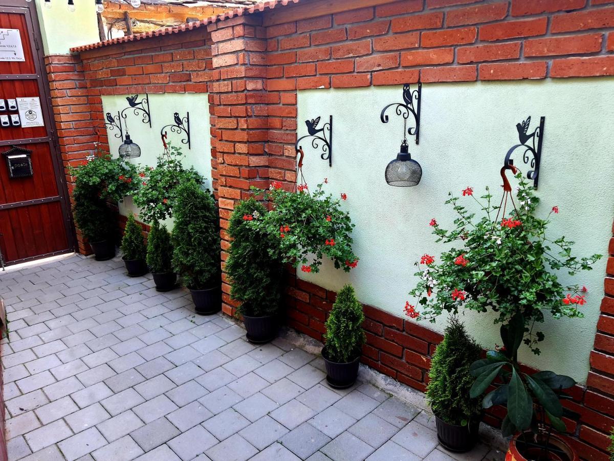 Brother'S House Сибиу Екстериор снимка